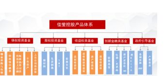 国际化资管视角下的供应链管理 科盛集团与佳莹控股的战略布局
